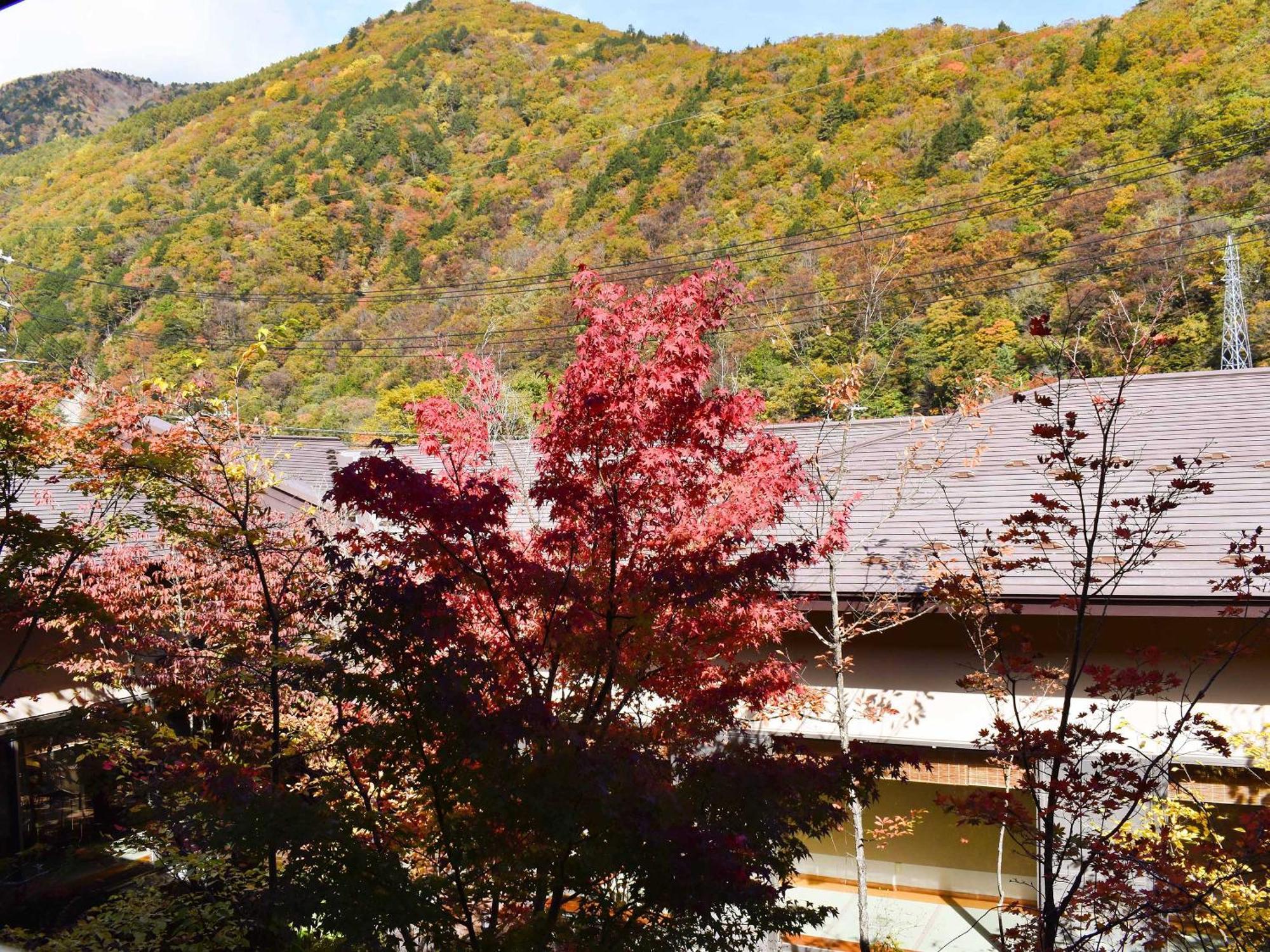 Hotel Keiryuso Siorie Matsumoto Exterior foto
